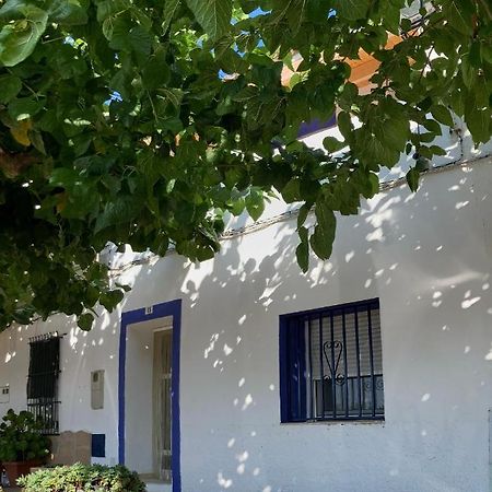 Casa De L'Hort - Els Valentins Βίλα Εξωτερικό φωτογραφία
